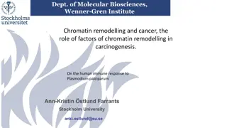 Chromatin Remodelling in Cancer and Immune Response to Pathogens