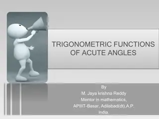 Understanding Trigonometric Functions of Acute Angles