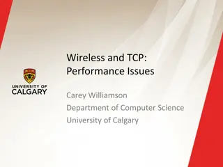 Wireless and TCP Performance Issues: Solutions and Examples