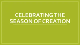 Reflections on Season of Creation and Pope Francis' Message