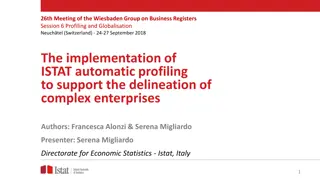ISTAT Automatic Profiling for Complex Enterprises at Wiesbaden Group Meeting