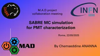 Advanced PMT Characterization Study with Geant4 Simulation in Rome