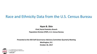 Insights into U.S. Census Bureau Race and Ethnicity Data