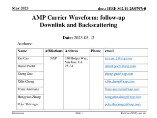 IEEE 802.11-25 Carrier Waveform Analysis and Optimization