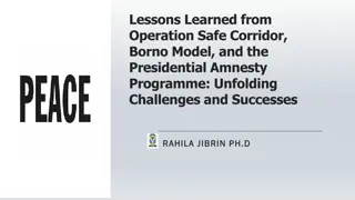 Unfolding Challenges and Successes of Operation Safe Corridor, Borno Model, and Presidential Amnesty Programme