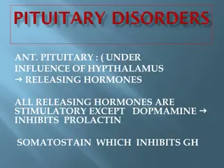 Understanding Pituitary Gland and Hormonal Regulation
