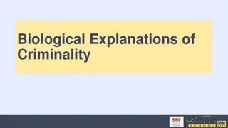 Exploring Biological Explanations of Criminality through Brain Function and Genetics