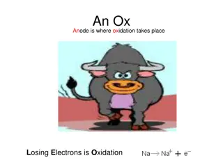 Understanding Oxidation and Reduction in Electrochemistry