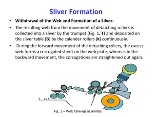 Sliver Formation: Key Steps in Textile Combing Process