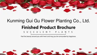Kunming Gui Gu Flower Planting Co., Ltd. - Preserved Flowers & Humidifier Product