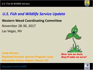 Conservation Strategies for Managing Invasive Plants in Mountain-Prairie NWRS