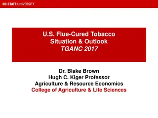 Insights into U.S. Flue-Cured Tobacco Production and Global Tobacco Manufacturing Trends
