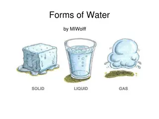 Discover the Various Forms of Water with MIWolff