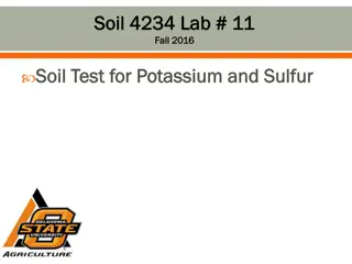 Understanding Potassium and Sulfur in Soil for Effective Fertilization