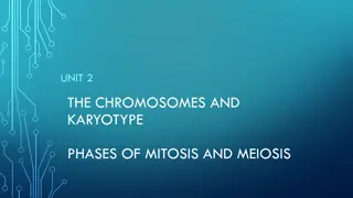 Understanding Chromosomes: Structure, Function, and Inheritance