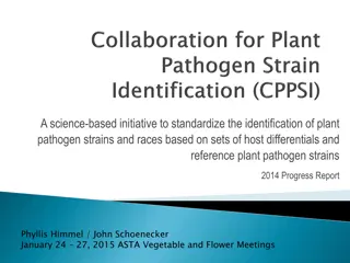 Standardizing Plant Pathogen Identification: Progress Report 2014