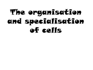 Understanding Cell Organization and Specialization in Multicellular Organisms