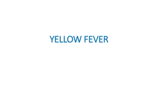 Understanding Yellow Fever Transmission and Epidemiology