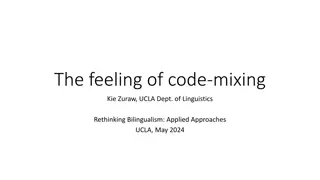 Understanding Code-Mixing and Bilingual Expression