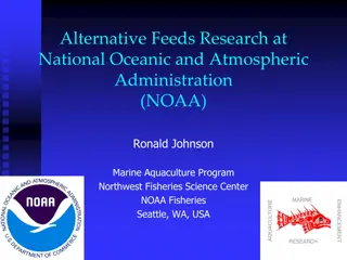 Sustainable Aquaculture Feeds - Research and Initiatives by NOAA