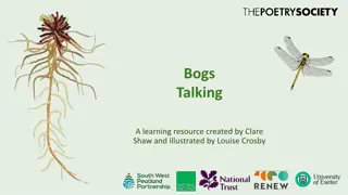 Exploring Bogs: A Unique Learning Resource