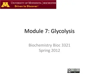 Biochemistry Insights: Glycolysis Mechanisms and Organic Chemistry Review