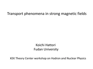 Exploring Transport Phenomena in Strong Magnetic Fields in Hadron and Nuclear Physics Workshop