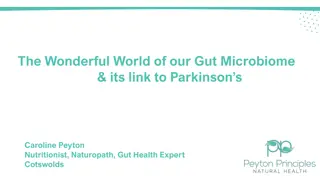 Understanding the Gut Microbiome and Its Link to Parkinson's Disease