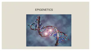 Understanding Epigenetics and Gene Expression Regulation