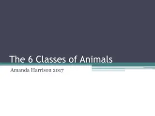 Understanding Animal Classification and Characteristics