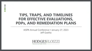 Effective Evaluation Strategies for Professional Development and Remediation