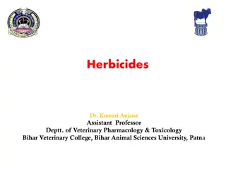 Understanding Herbicides: Classification, Mechanism of Action, Toxicity, and Treatment