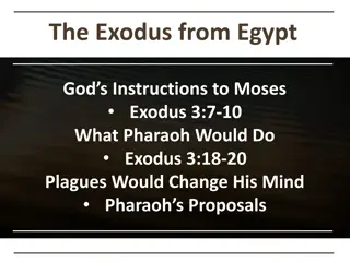 Lessons from Pharaoh's Proposals in Exodus - Understanding Obedience to God