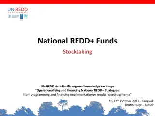 Implementing National REDD+ Strategies: Funding and Operationalization Insights
