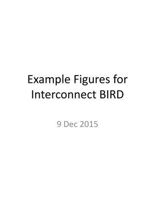 Complex Power Distribution Interconnect Example Figures