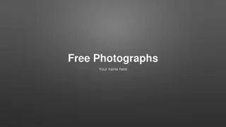 High-Quality Free Photographs for Personal and Commercial Use