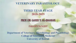 Nematodes in Veterinary Parasitology: Oxyuris equi General Characteristics