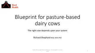 Pasture-Based Dairy Cow Management Insights