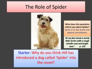 Unveiling the Role of Spider in the Novel