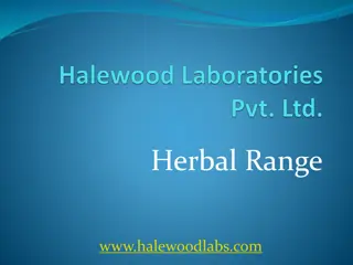 Natural Herbal Supplements for Wellness and Relief