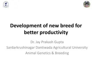 Breed Development Strategies for Productive Livestock