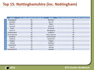 Discover Nottinghamshire's Top 15 Bird Species and Local Winners