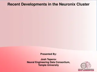 Recent Developments in Neuronix Cluster - Insights by Josh Teperov