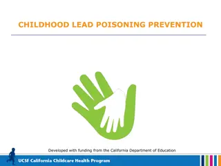 Childhood Lead Poisoning Prevention Program Information