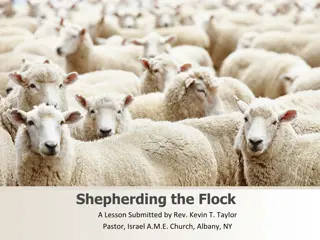 Shepherding the Flock: Biblical Examples, Expectations, and Responsibilities