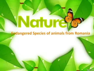 Endangered Species of Animals and Plants in Romania
