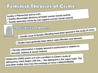 Understanding Feminist Theories of Crime and the Invisibility of Women