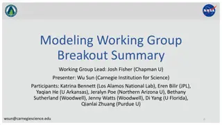 Challenges in Modeling Terrestrial Biosphere: Insights from Working Group Breakout