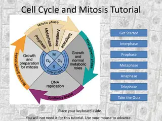 Understanding the Cell Cycle: A Comprehensive Tutorial