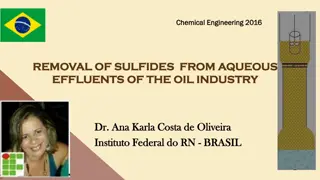Efficient Removal of Sulfides from Oil Industry Effluents using Advanced Processes